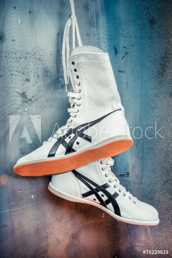 Bild på Boxing shoes classical white